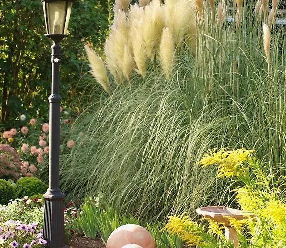 Resort Menschels Vitalresort Meddersheim